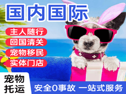 北京首都航空邮寄国际宠物托运 【国